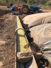 Malelane Infeed Trough Fruit Waste