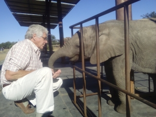 Among the Elephants at AWE Bela Bela Digester Site